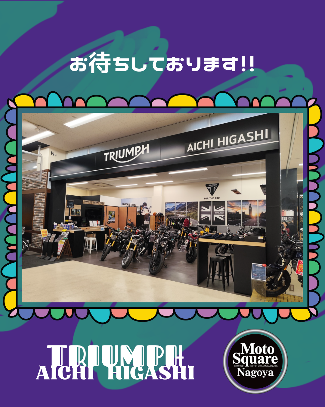 TR×MS.png