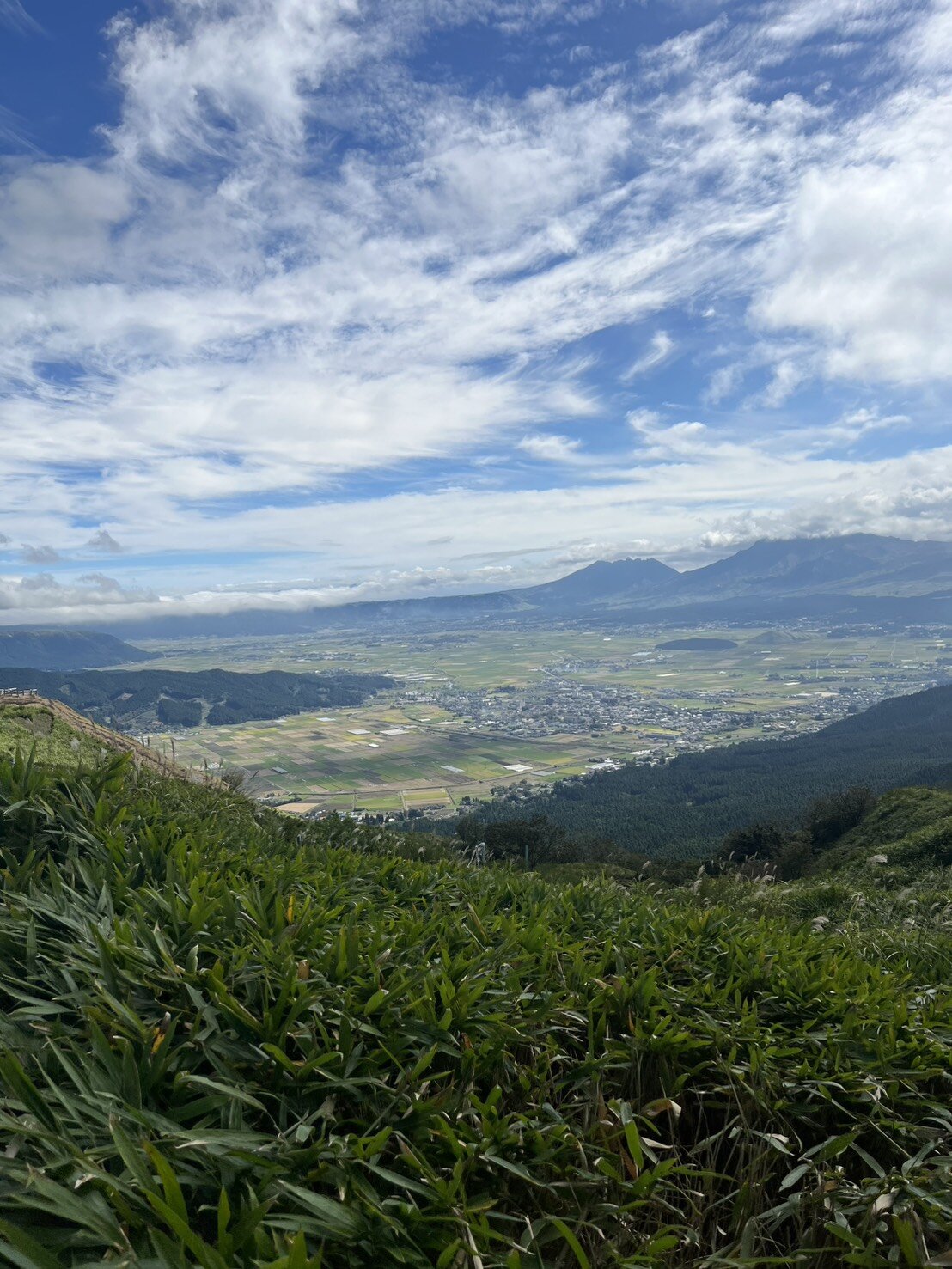 S__10706968_0.jpg
